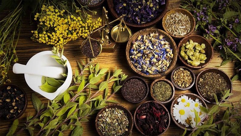 Nguyên liệu chiết xuất tinh dầu nguyên chất